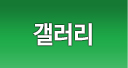 엘리프어학원